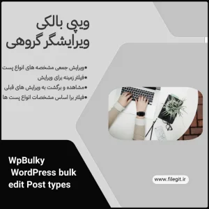 افزونه ویپی بالکی (WP Bulky)